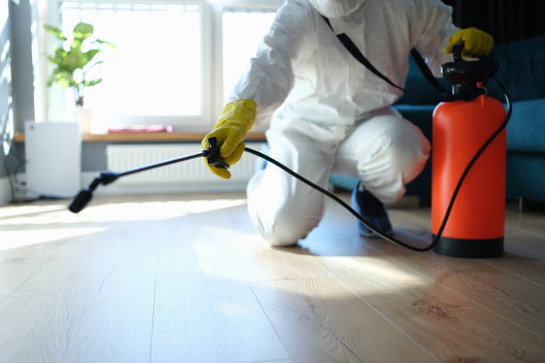 Reliable Odor Removal contractor in Nunica, MI by Trauma Clean Pros